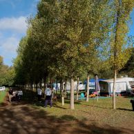 big_19212302_0_1300_864