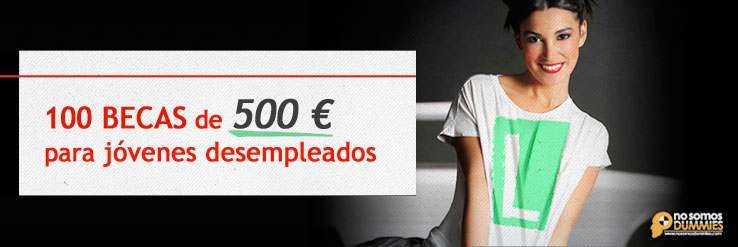 738x247-becas-carnet-conducir-jovenes-paro_tcm164-58426