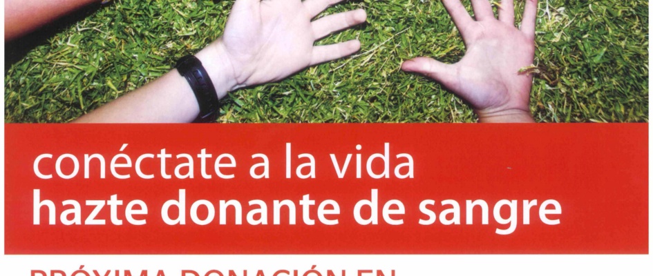 donacion.jpg
